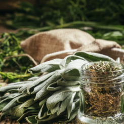 DRIED HERBS