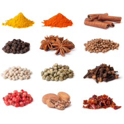 SPICES