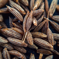 WHOLE SEEDS