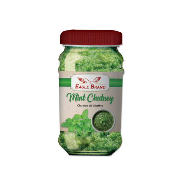 MINT CHUTNEY.